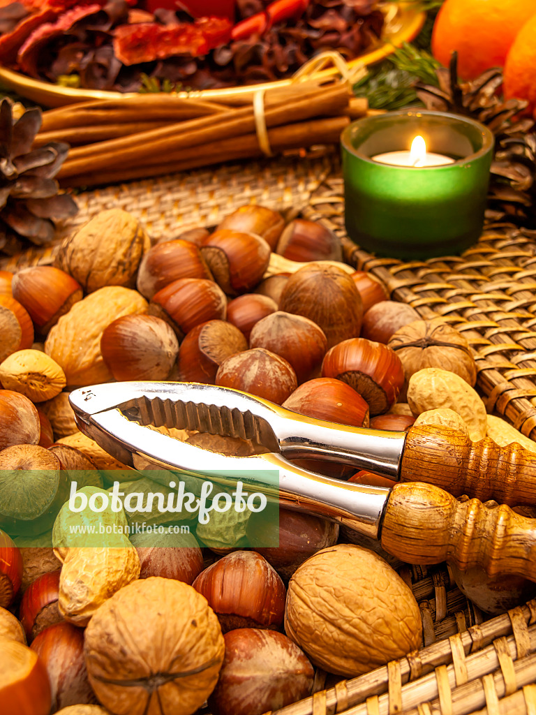 444062 - Filbert (Corylus maxima), English walnut (Juglans regia) and peanut (Arachis hypogaea) with nutcracker