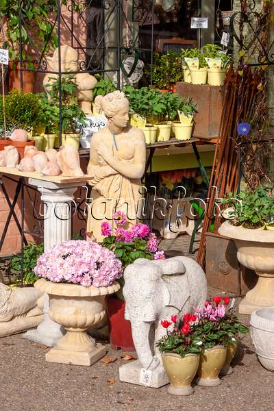 453013 - Fleuriste avec des plantes et des figurines