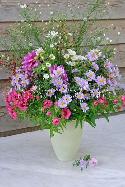 518073 - Flower bouquet with asters