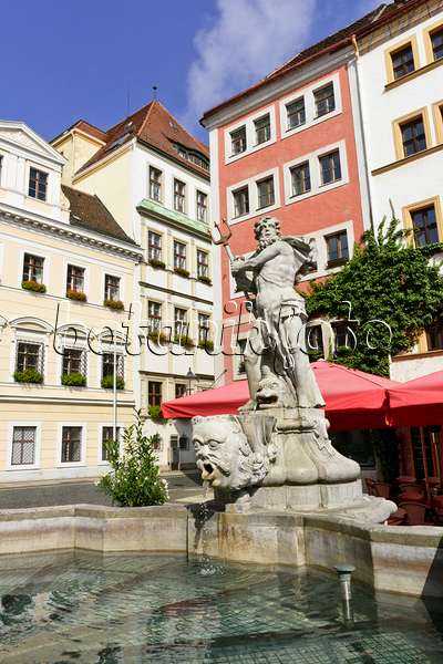 559053 - Fontaine de Neptune et maisons sur la place du marché, Görlitz, Allemagne