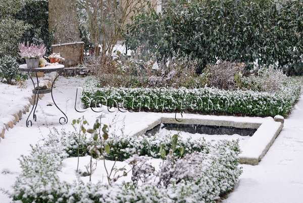 517015 - Formal garden with box hedges and garden pond in the snow