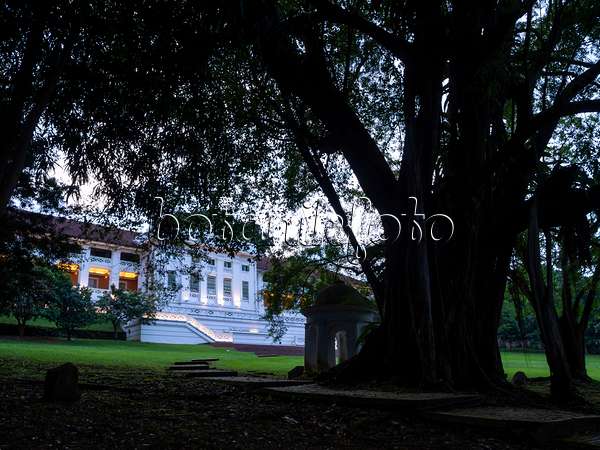 434173 - Fort Canning Centre, Fort Canning Park, Singapore