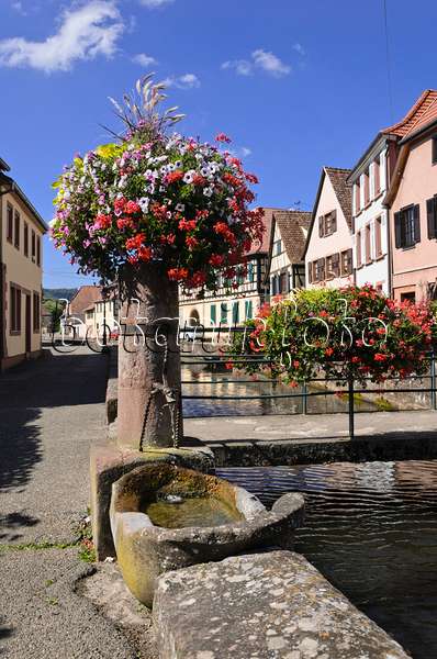 548075 - Fountain at the Lauter, Wissembourg, France