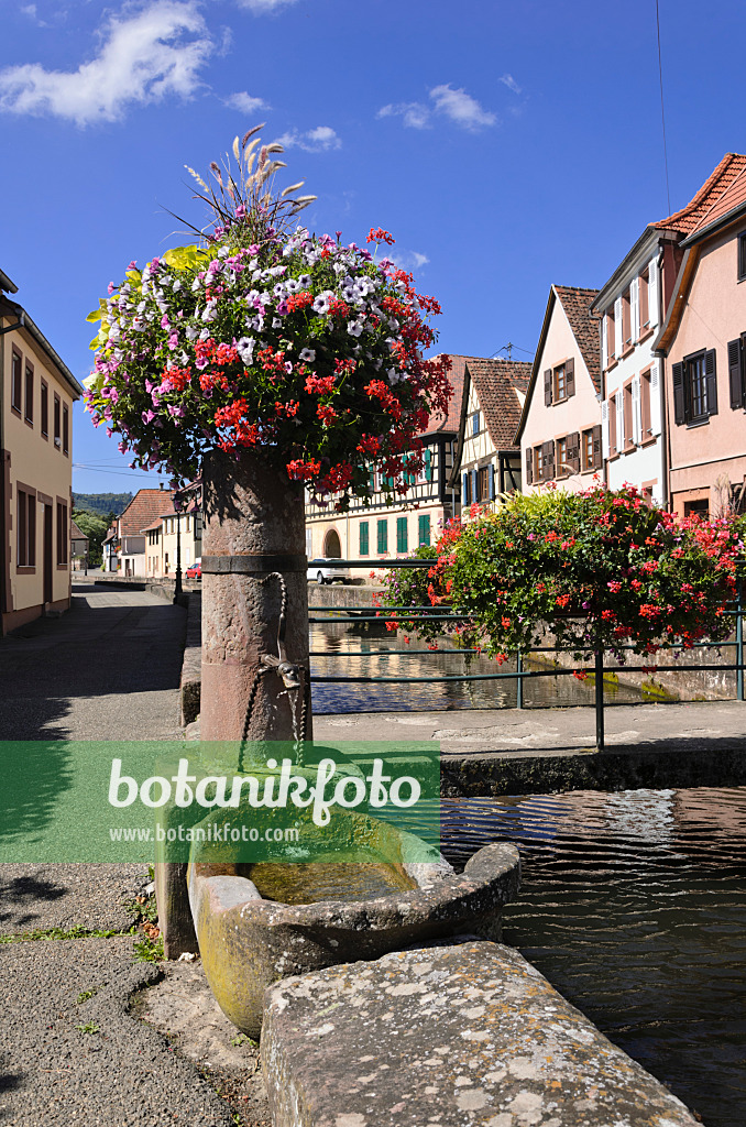 548075 - Fountain at the Lauter, Wissembourg, France