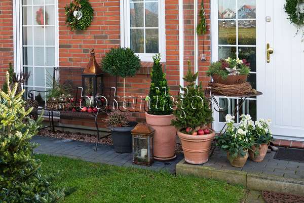 527033 - Front garden with container plants and Christmas decoration