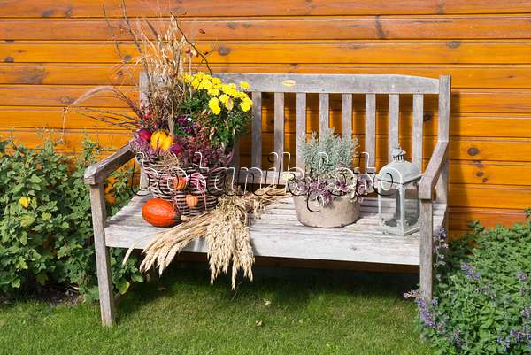 549167 - Garden bench with autumn decoration