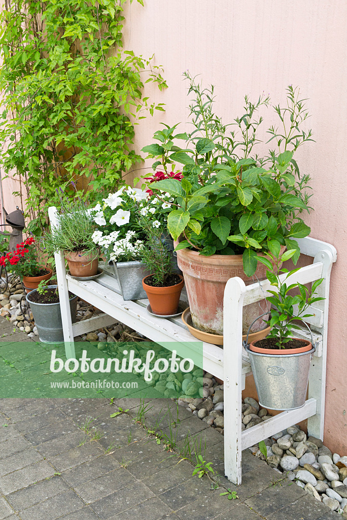 Image Garden bench with flower pots 545112 Images of Plants and Gardens botanikfoto