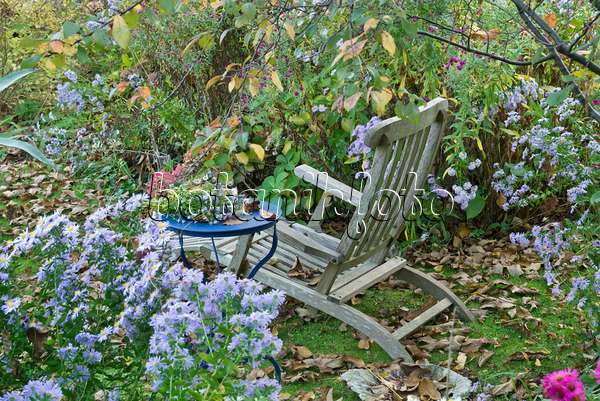 609047 - Garden chair in a perennial garden