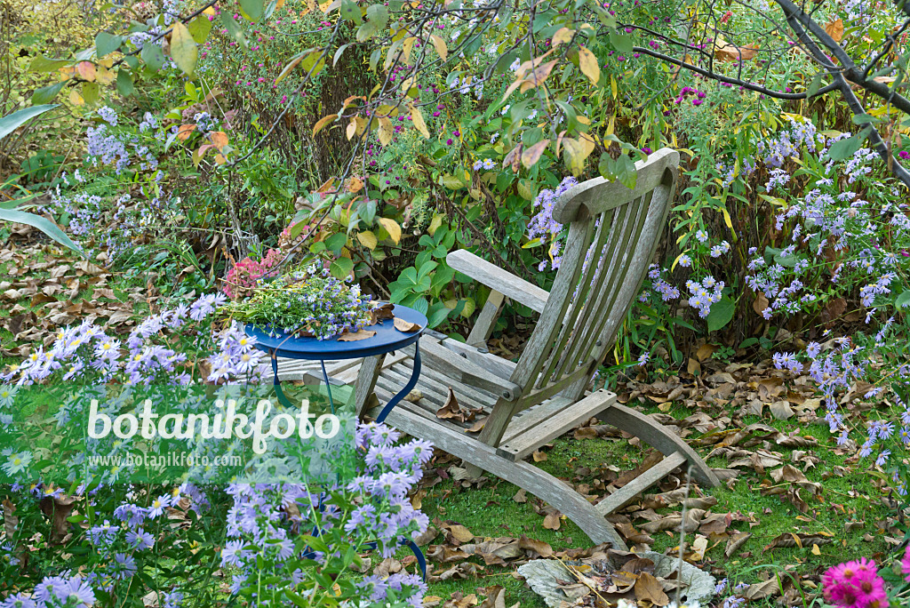 609047 - Garden chair in a perennial garden