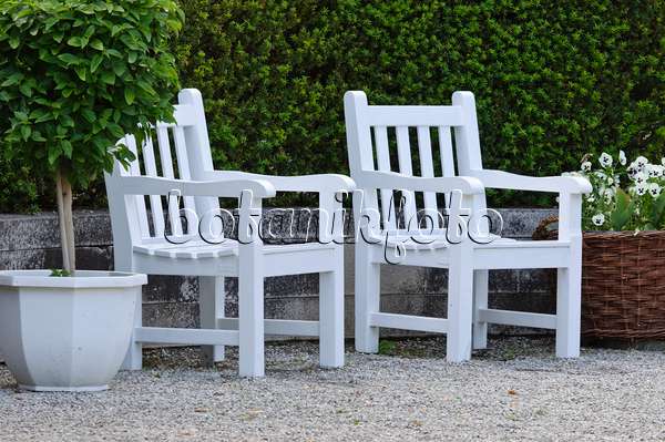472305 - Garden chairs with potted plants