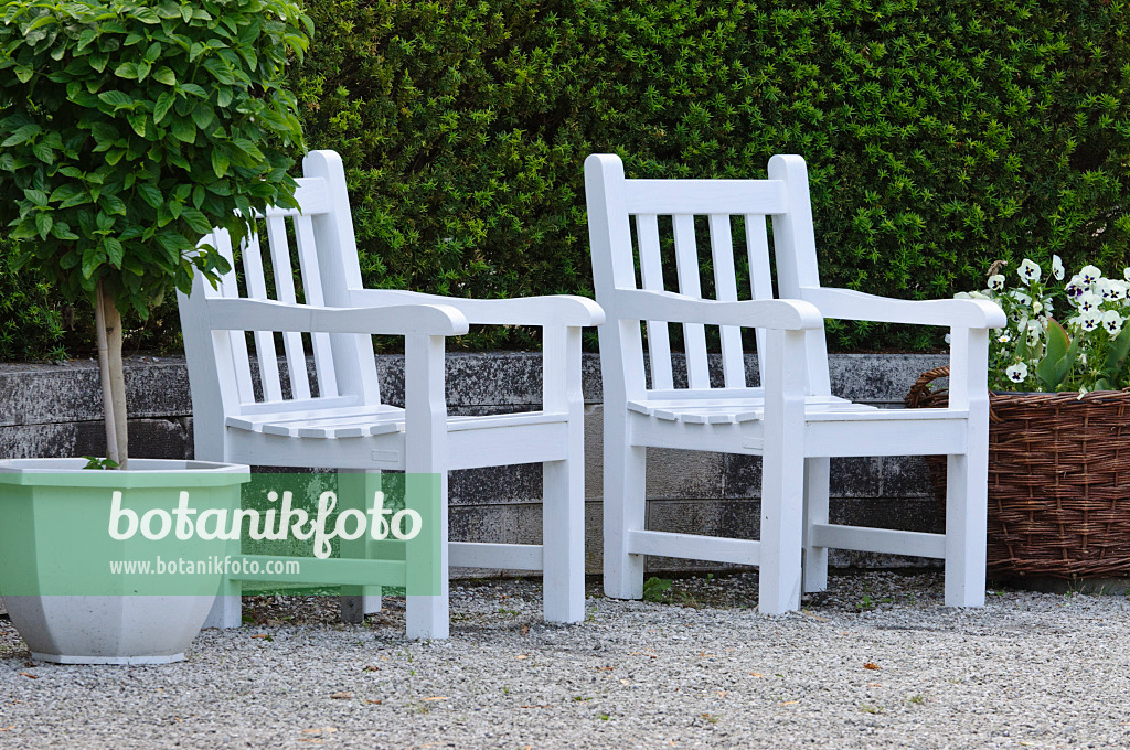 472305 - Garden chairs with potted plants