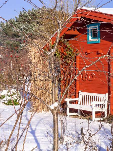 503008 - Garden house in a snowy natural garden