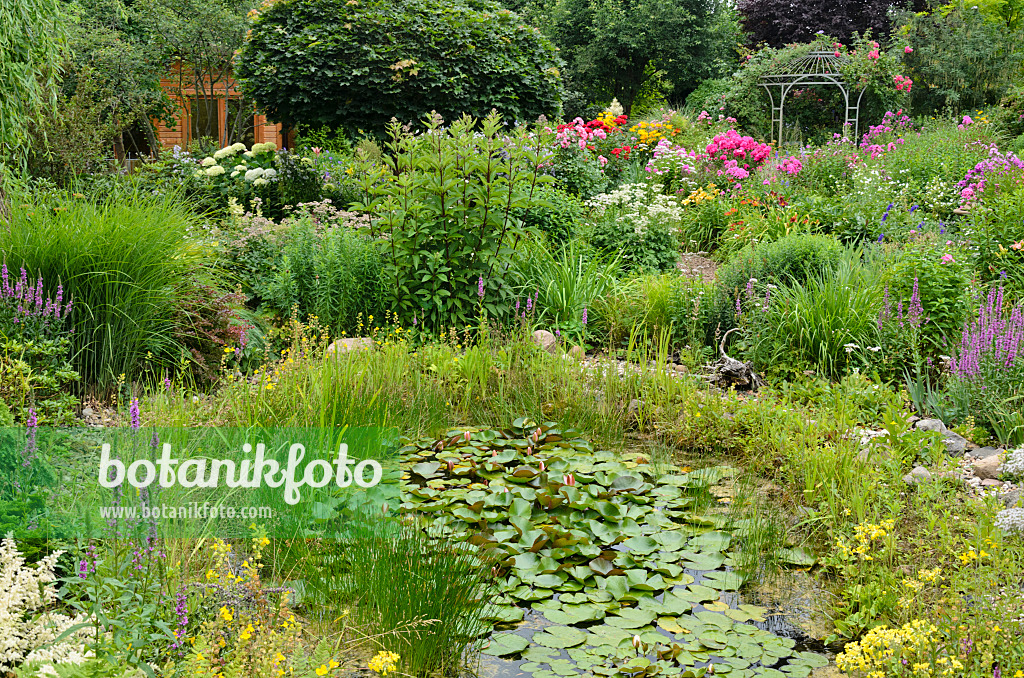 546053 - Garden pond in a rich flowering garden with pavilion