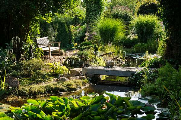 474444 - Garden pond with water lilies (Nymphaea)