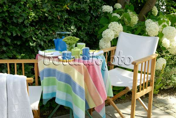 456007 - Garden table with coffee set