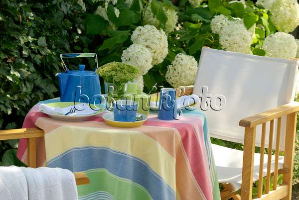 456008 - Garden table with coffee set