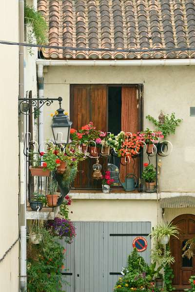 557116 - Géraniums (Pelargonium), bégonias (Begonia) et hortensias (Hydrangea) sur un balcon, Arles, France
