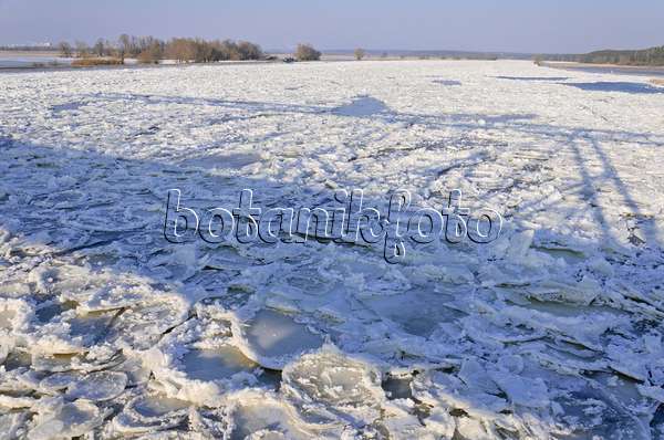 578011 - Glaces flottantes sur l'Oder, parc national de la vallée de la Basse-Oder, Allemagne