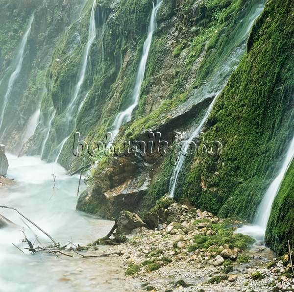 249019 - Gorge de Wimbach, parc national de Berchtesgaden, Allemagne