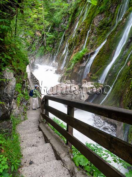 439166 - Gorge de Wimbach, parc national de Berchtesgaden, Allemagne