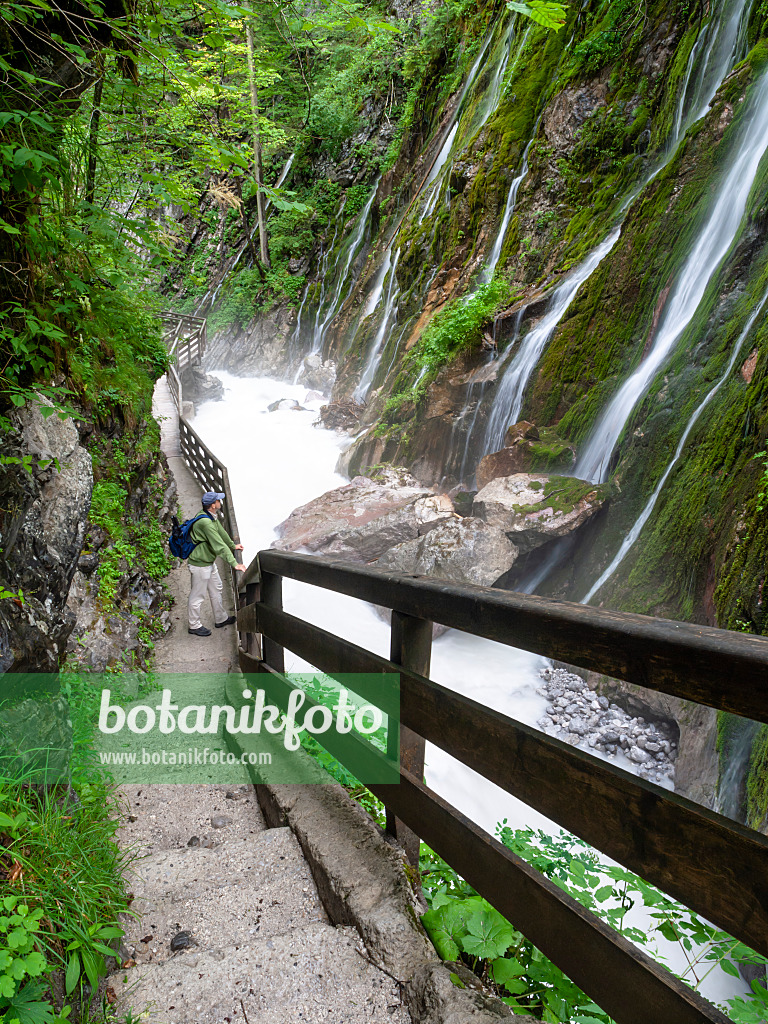 439166 - Gorge de Wimbach, parc national de Berchtesgaden, Allemagne