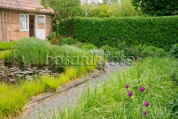 509148 - Grass garden with water basin
