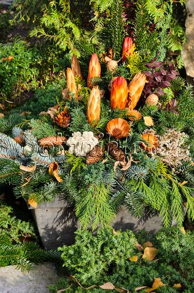 466044 - Grave decoration with fir branches, cones and dried flowers