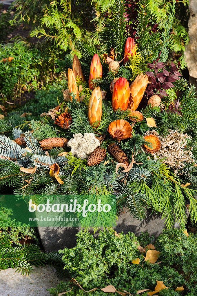 466044 - Grave decoration with fir branches, cones and dried flowers