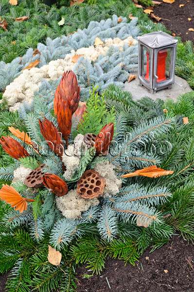 466064 - Grave decoration with fir branches, cones and dried flowers