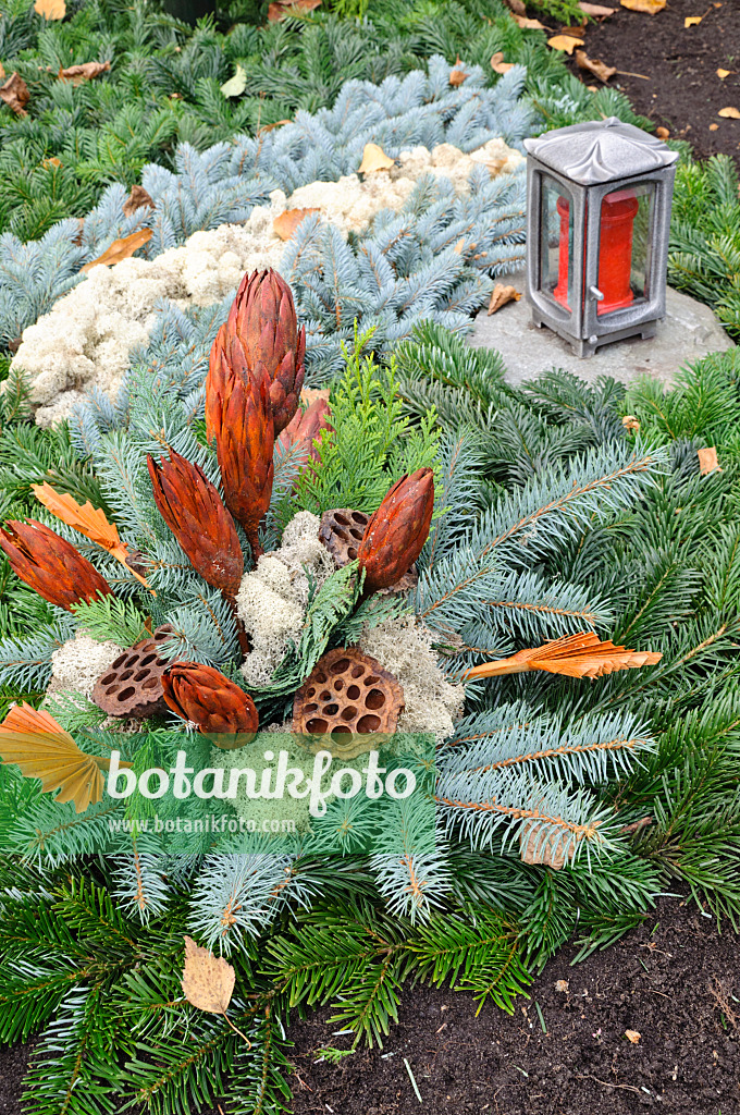 466064 - Grave decoration with fir branches, cones and dried flowers