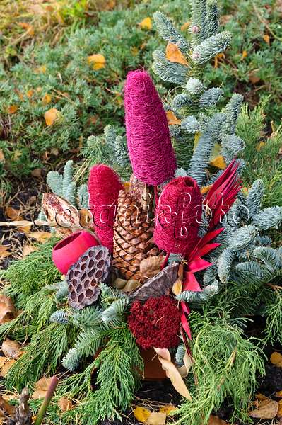466034 - Grave decoration with fir branches, cones and dyed plant parts