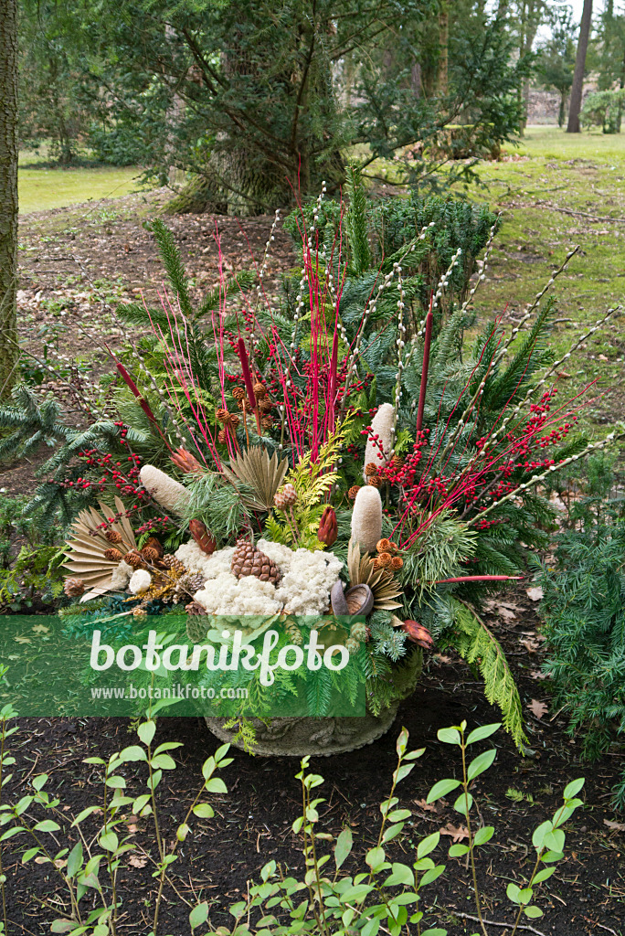 554017 - Grave decoration with fir branches and dyed plant parts