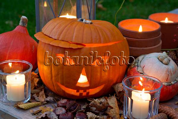 460037 - Halloween pumpkin with storm lamps