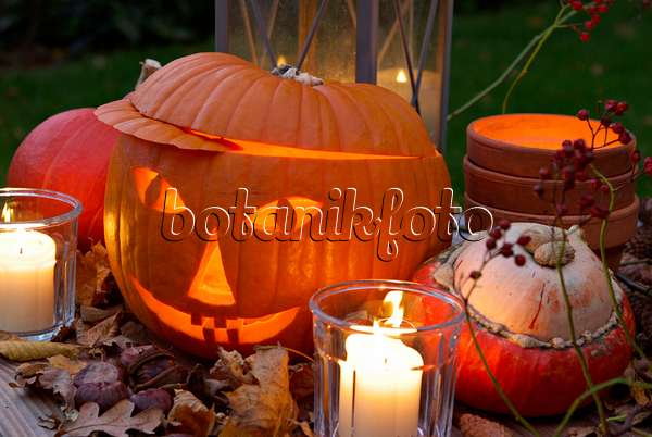 460039 - Halloween pumpkin with storm lamps