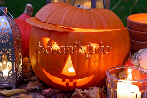 463079 - Halloween pumpkin with storm lamps