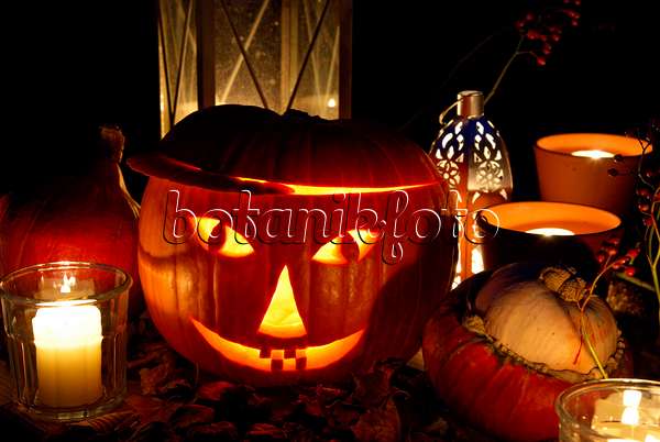 463080 - Halloween pumpkin with storm lamps