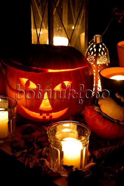 463081 - Halloween pumpkin with storm lamps
