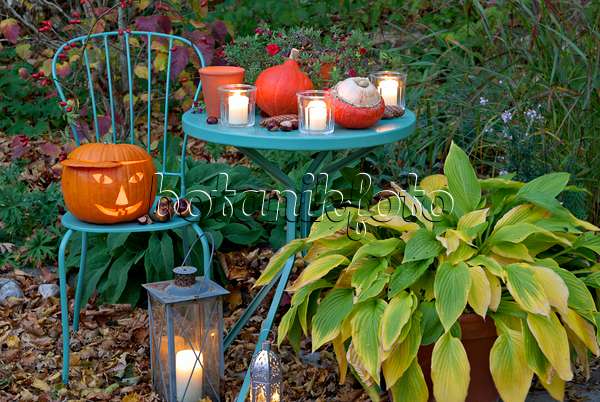 463082 - Halloween pumpkin with storm lamps