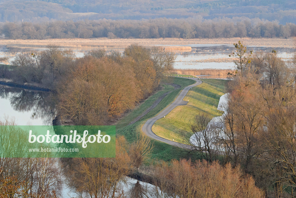 527042 - Hohensaaten-Friedrichsthaler Wasserstraße and flooded polder meadows, Lower Oder Valley National Park, Germany