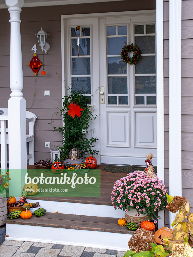 477139 - House entrance with autumnal decoration