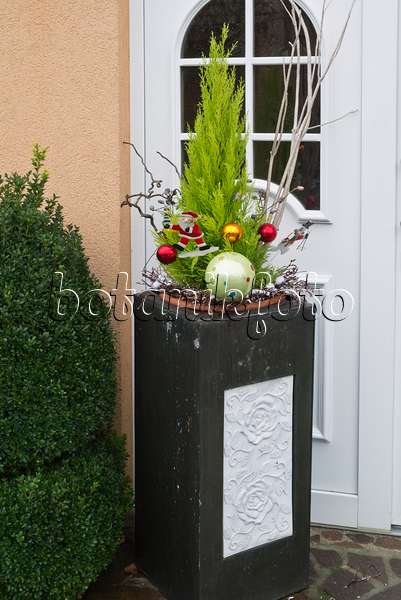 527028 - House entrance with,Christmas decoration
