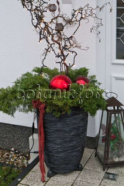 527029 - House entrance with,Christmas decoration