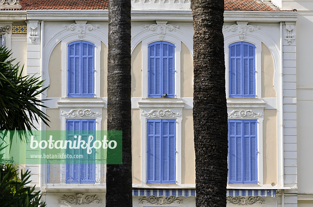 569008 - House with blue shutters, Cannes, France