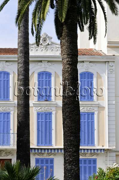 569009 - House with blue shutters, Cannes, France