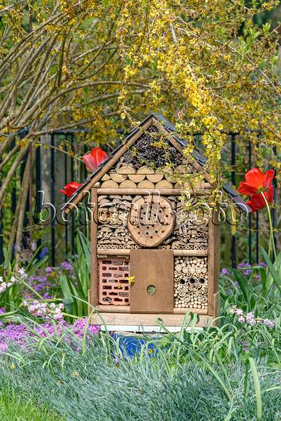 607117 - Insect house