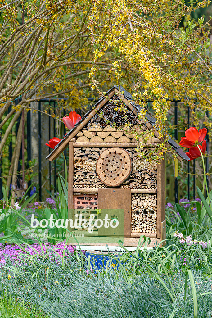 607117 - Insect house