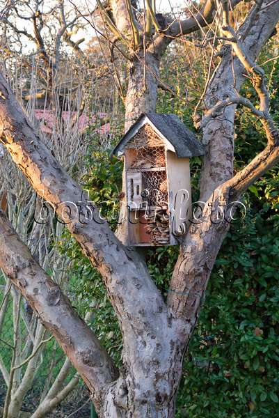 576032 - Insect house in a tree
