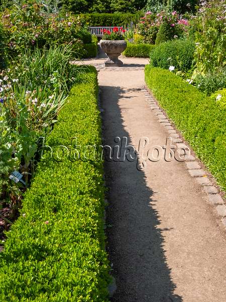 414175 - Jardin de cottage coloré avec haie de buis bas et grand bac à plantes en pierre