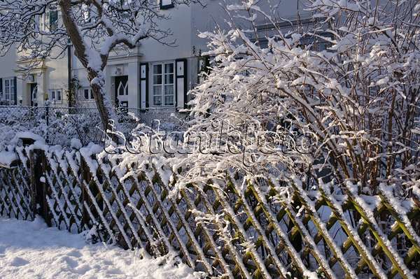 468005 - Jardin de devant avec des arbustes recouverts de neige