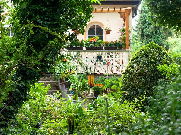 474391 - Jardin de devant avec plantation dense et escalier en pierre menant à une véranda avec pergola d'une maison individuelle